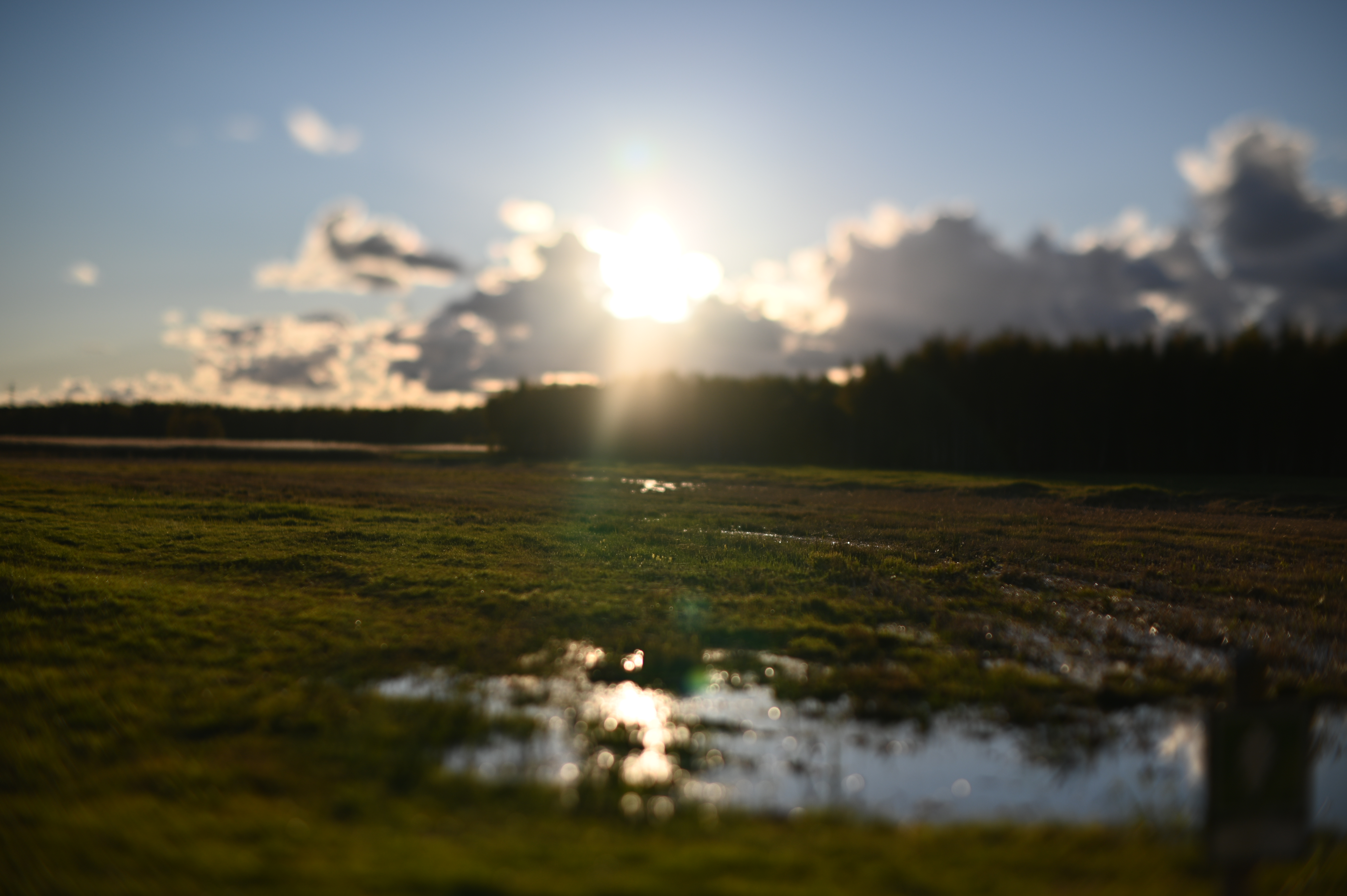 2025/10/18 - walk/DSC_0182.JPG